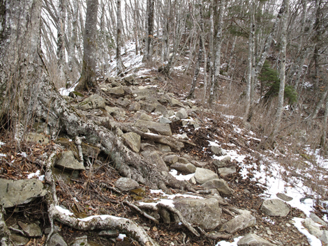 20160218hike (157)